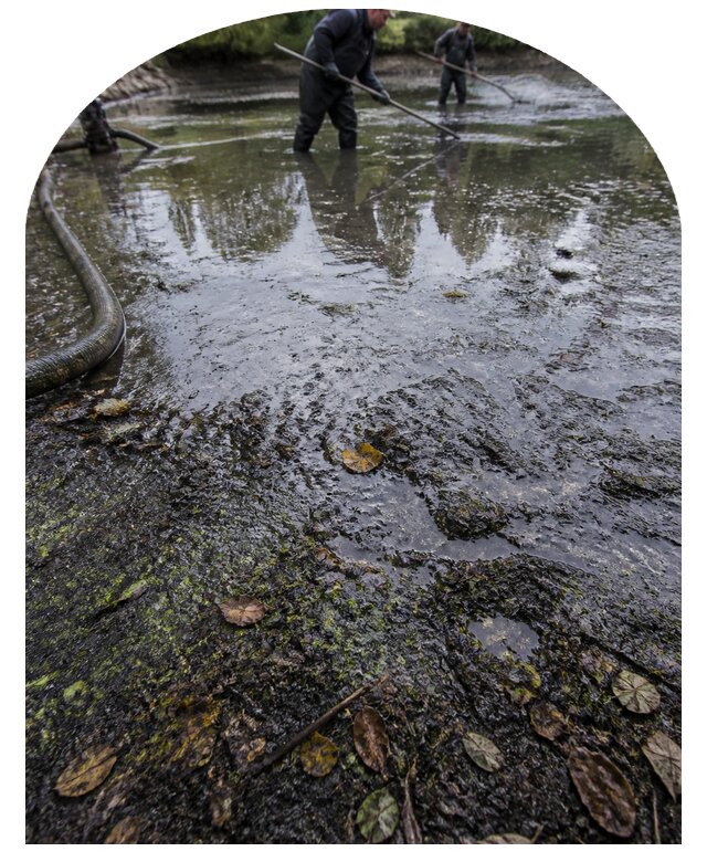 Очистка пруда в Павлове от ила мусора и водорослей с вывозом